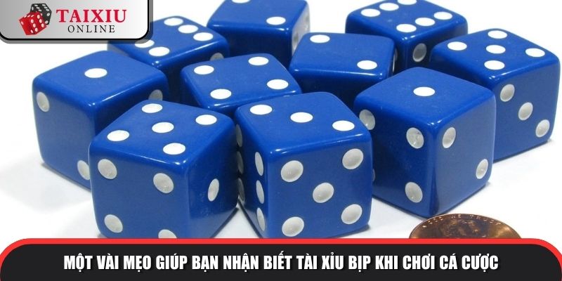 tai xiu bip 3 1091 Một vài mẹo giúp bạn nhận biết tài xỉu bịp khi chơi cá cược